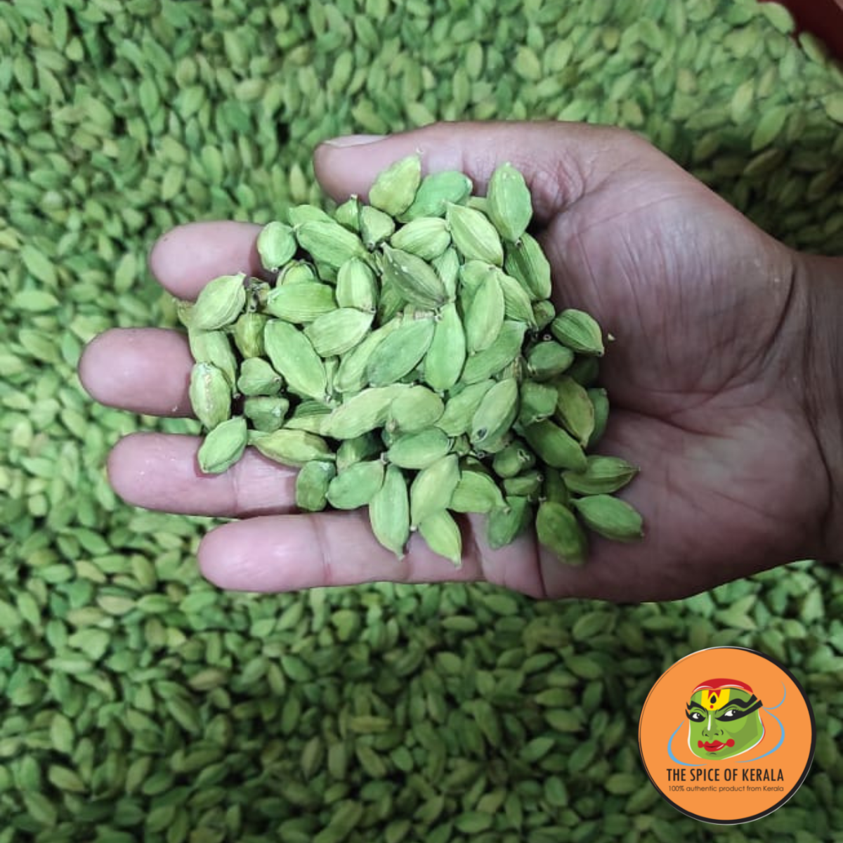 Green Cardamom (100gm)