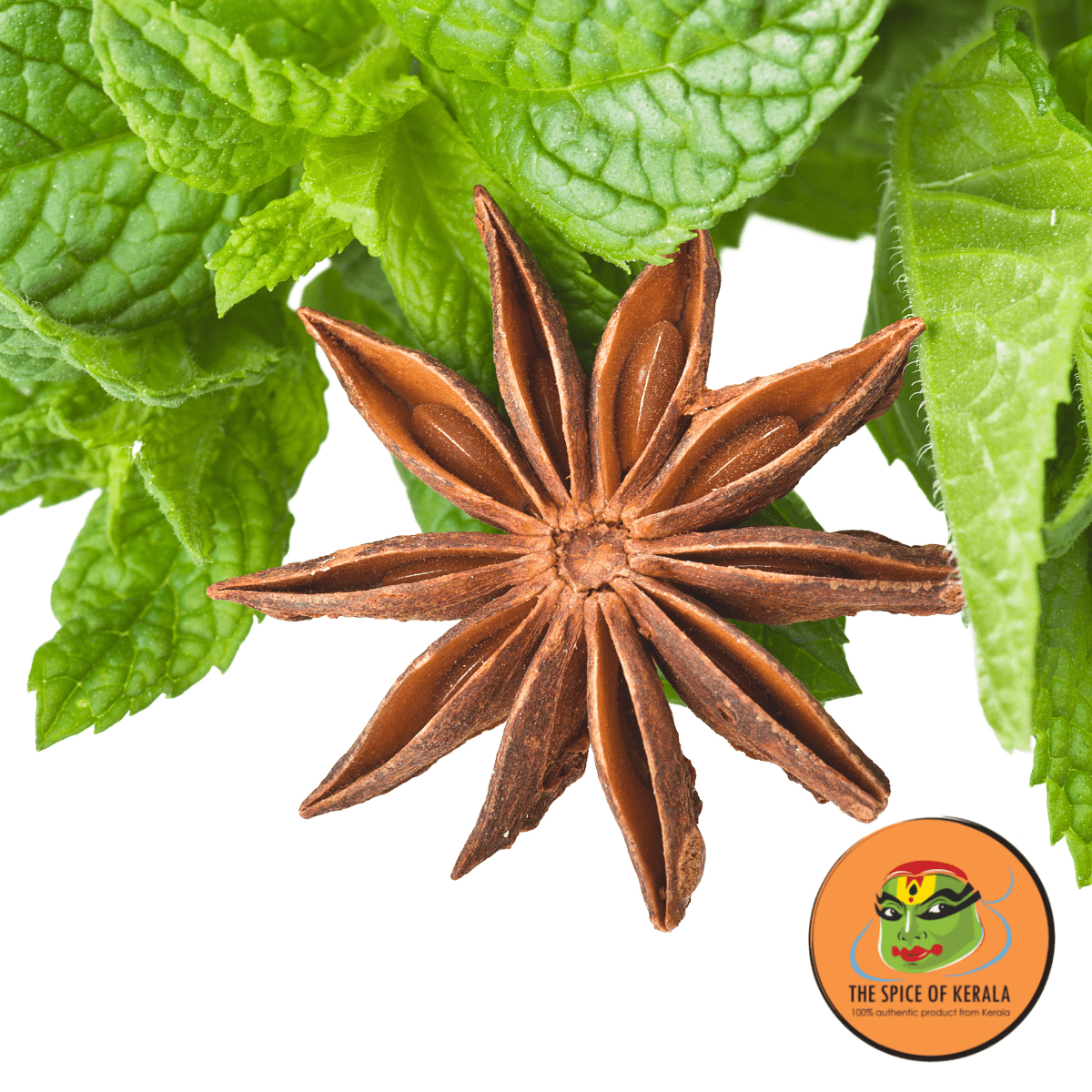 Star Anise (100gm)